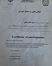 برخی از رزومه ورزشی امیرمحمد رضایی